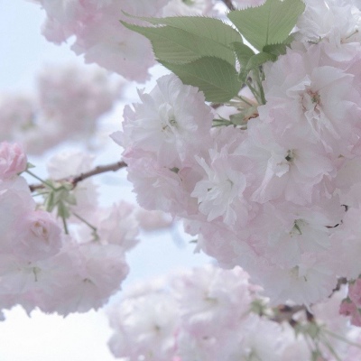 兽设原创设计欣赏兽圈社群